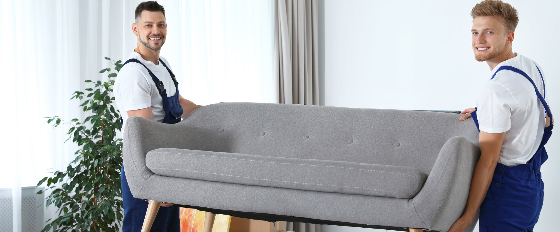 Expert Removalists in Munno